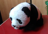 urs panda jucarie
