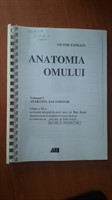 anatomia omului