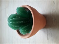 lumanare cactus