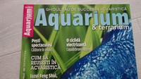 6428. Aquarium nr 14 din 2010.JPG