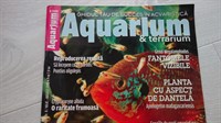 6433. Aquarium nr 8 din 2009.JPG