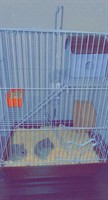Hamsteri pitici