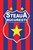 Breloc Steaua