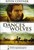 Film "Dances with wolves"